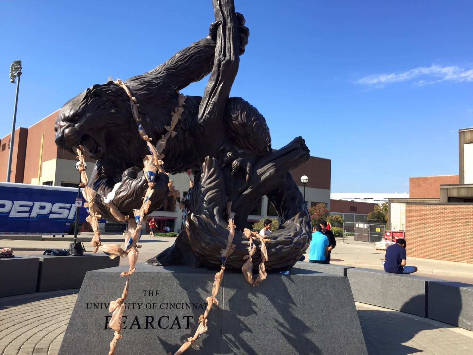 Bearcat past plastic